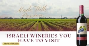 12 Israeli Wineries You Have To Visit
