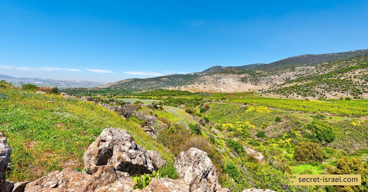 7. Golan Heights