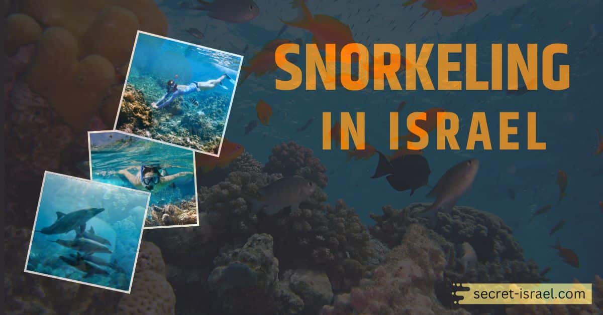8 Best Spots To Do Snorkeling In Israel