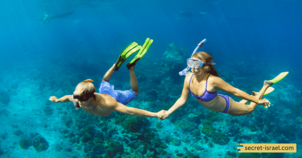 About Snorkeling In Aqaba
