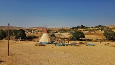 Desert Olive Farm – Sde Boker