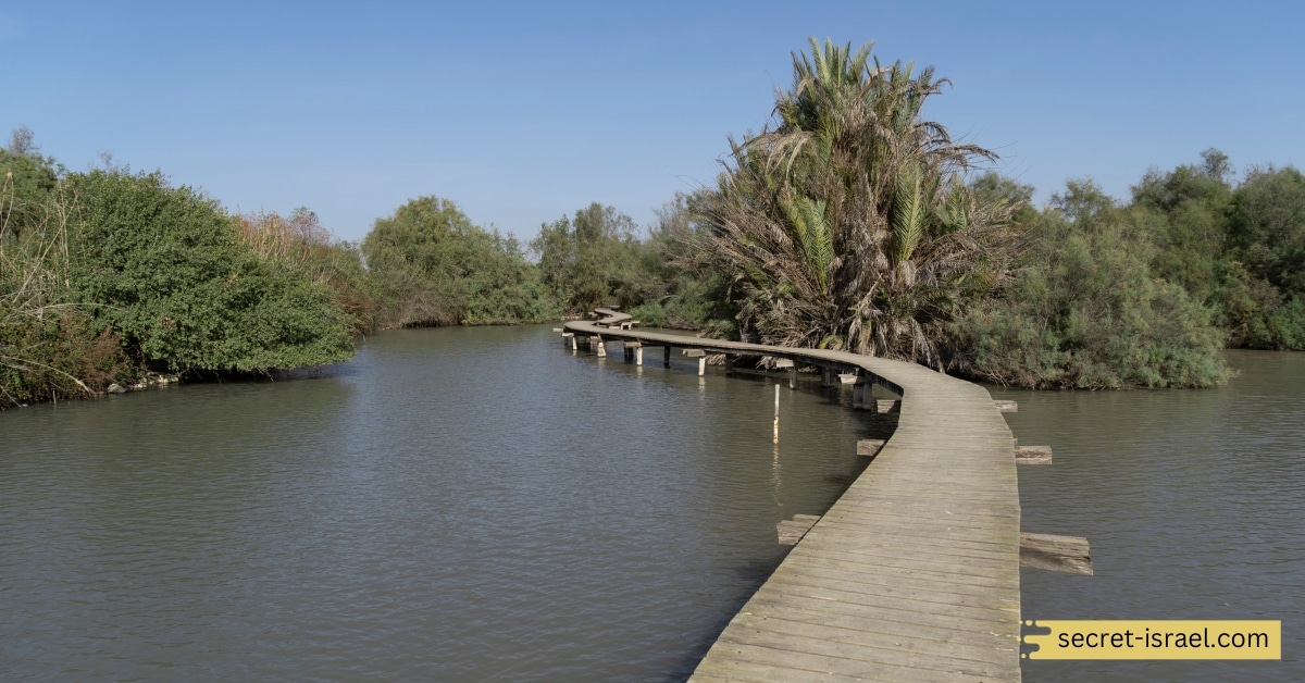 Afek Gorge Nature Reserve