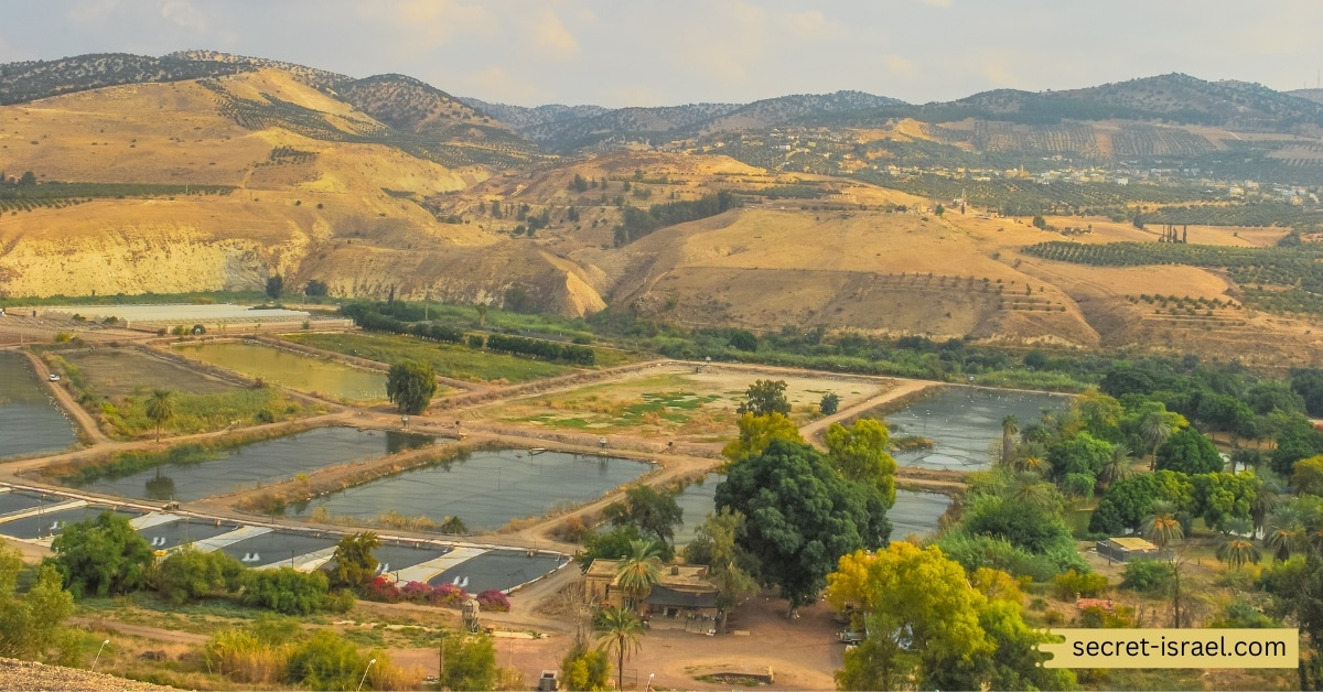 Archaeological site at Hamat Gader