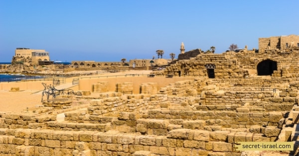 Archeological Insights and Historical Discoveries