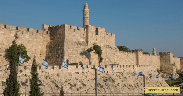 Architecture and Design