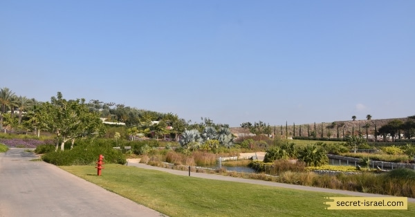 Ariel Sharon Park_ An Ecological Gem in Holon