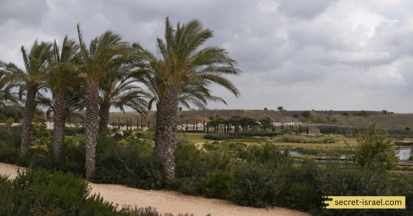 Ariel Sharon Park