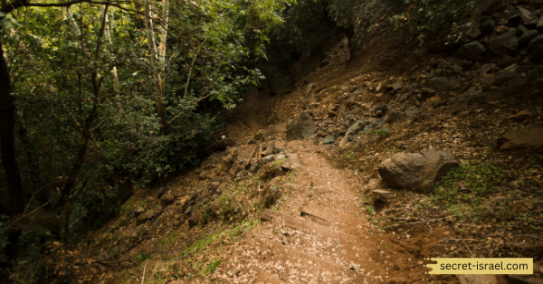 Banias Nature Reserve