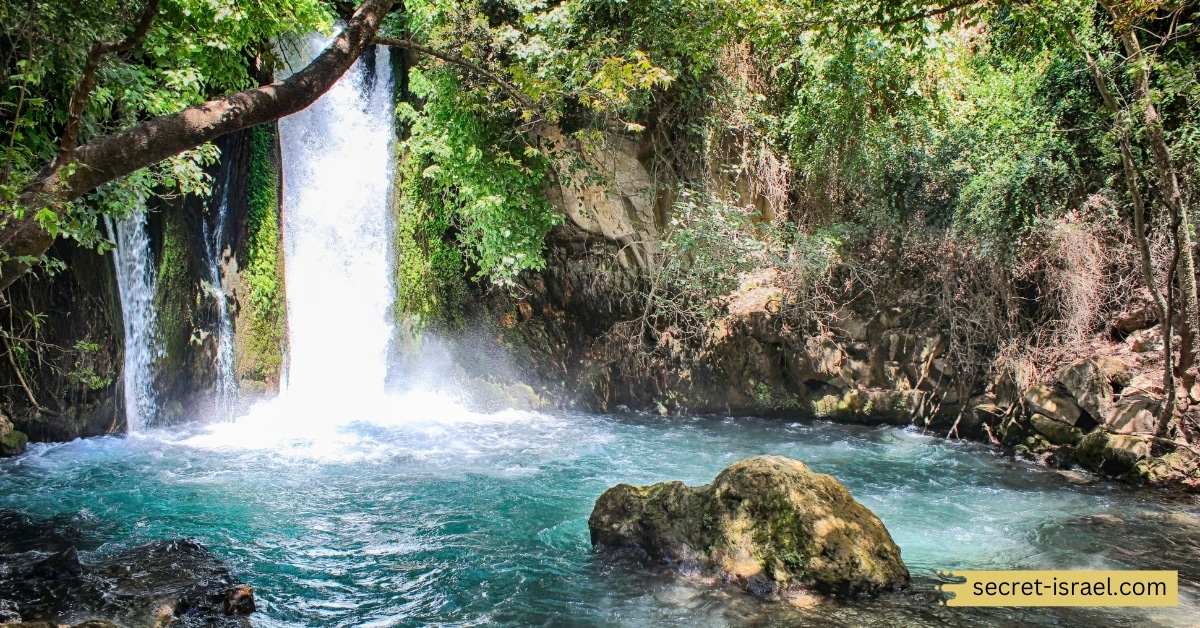 Banias Nature Reserve