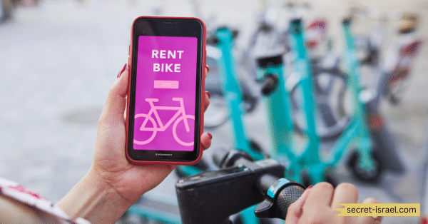 Bicycle rentals