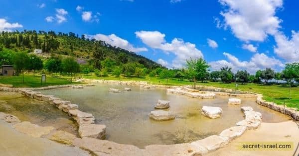 Bird Watching at Ichud Ha'Shirim Park