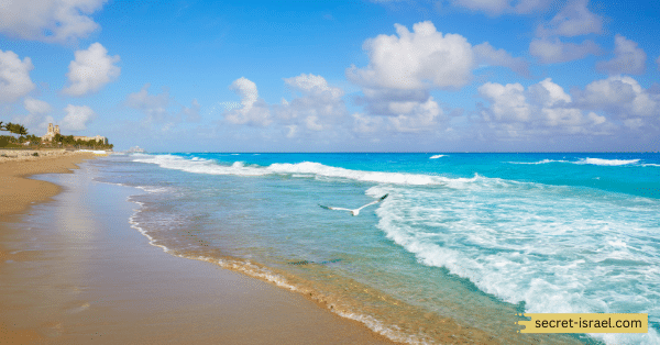 Blue Beach