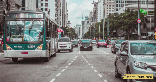 Buses