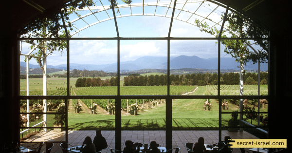 Carmel Winery