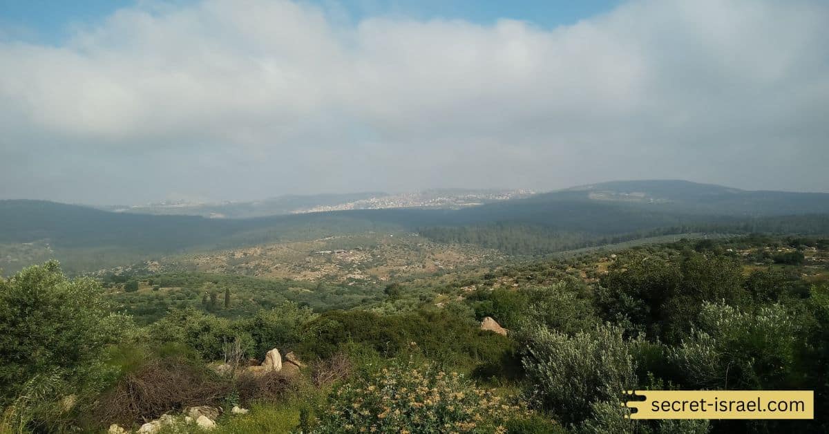 Climb to the top of Mount Nebo
