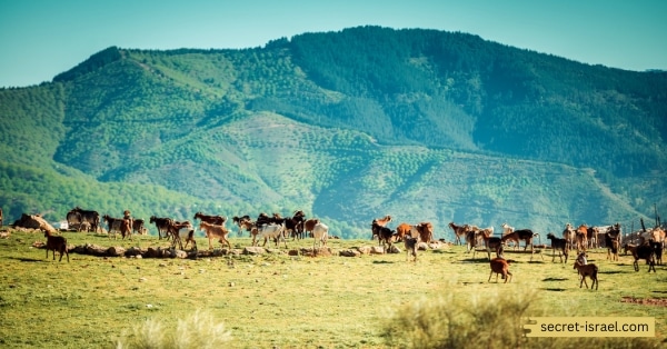 Daily Life and Culture in Ancient Samaria