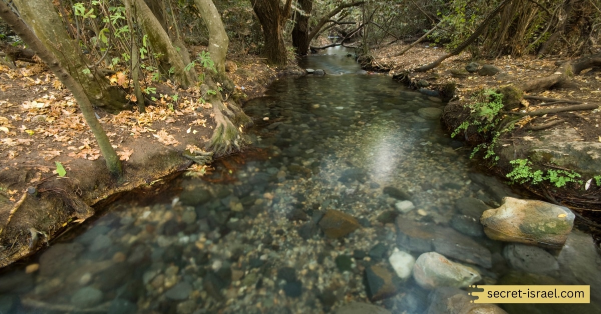 Dan River Nature Reserve