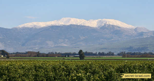 Day 6_ Take a jeep tour and see Mount Hermon, Lake Hula and other breathtaking sites