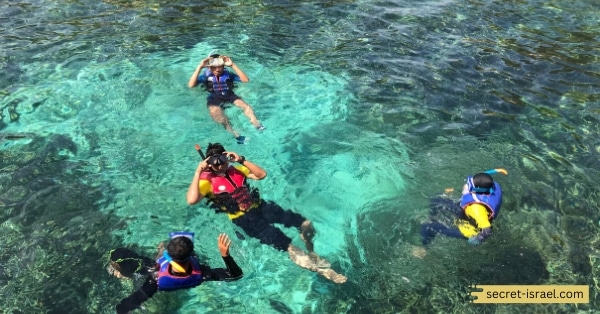 Diving at Gordon Beach