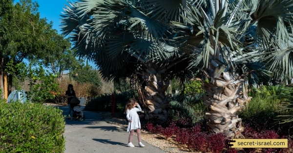 Educational Opportunities at the Park