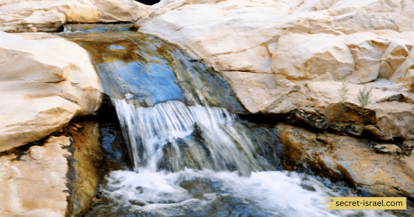 Ein Gedi Nature Reserve
