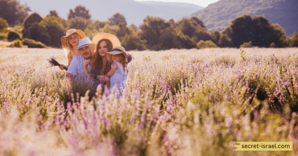 Enjoy the Peaceful Atmosphere of the Golan Heights