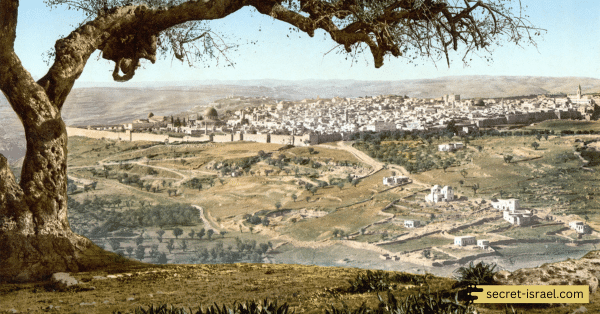 Enjoy views from Mount Scopus