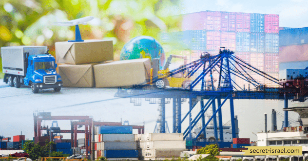 Free Trade Zone Status and VAT Exemption_ How It Benefits Investors and Residents Alike