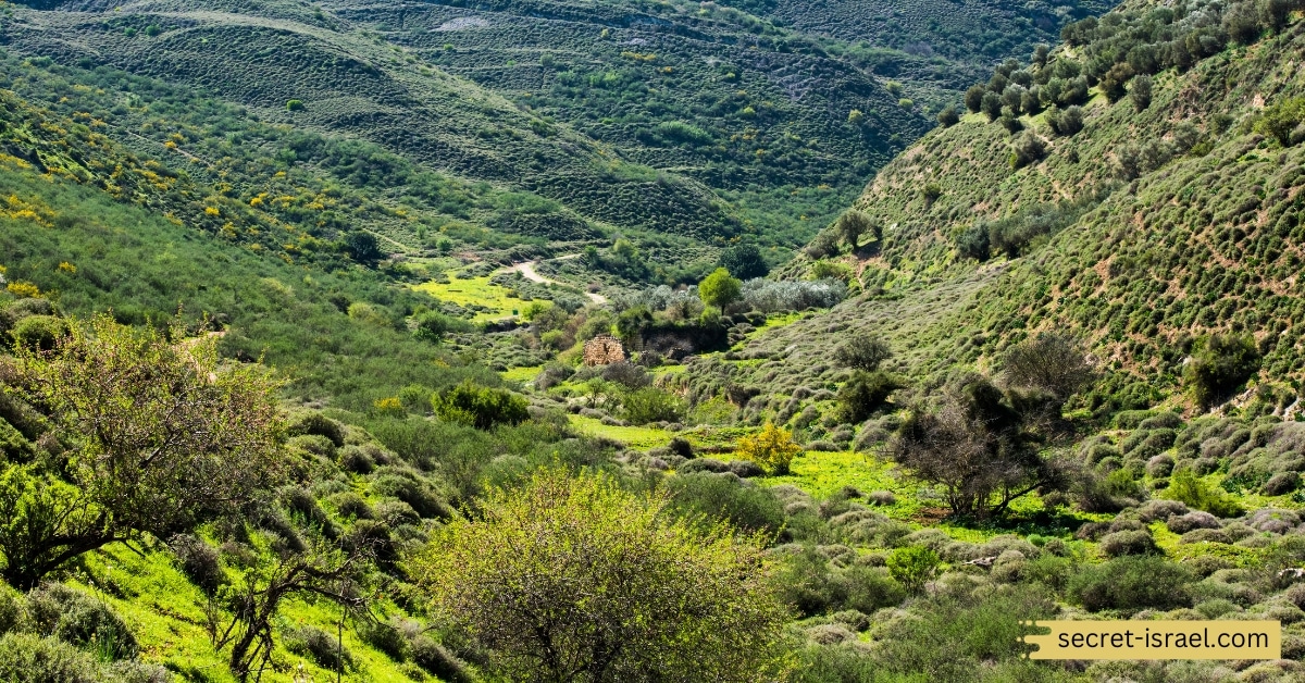 Galilee Region