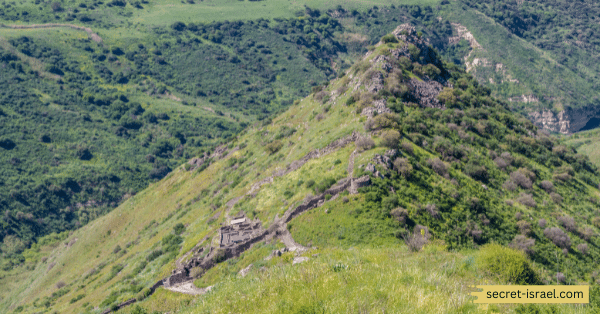 Gamla Nature Reserve