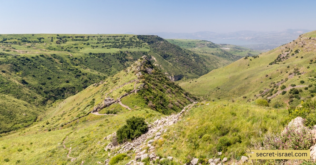 Gamla Nature Reserve