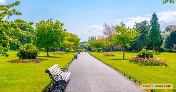 Gan HaHashmal Garden