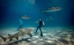 Extreme activities in Israel