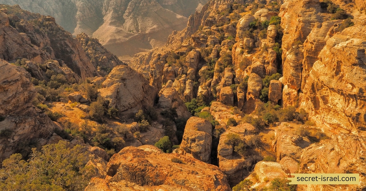 Go on a Camel Ride in Wadi Dana