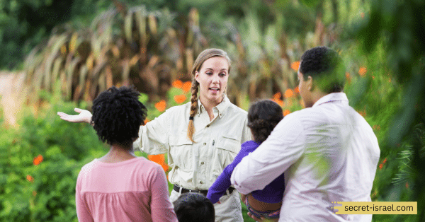 Green Olive Tours