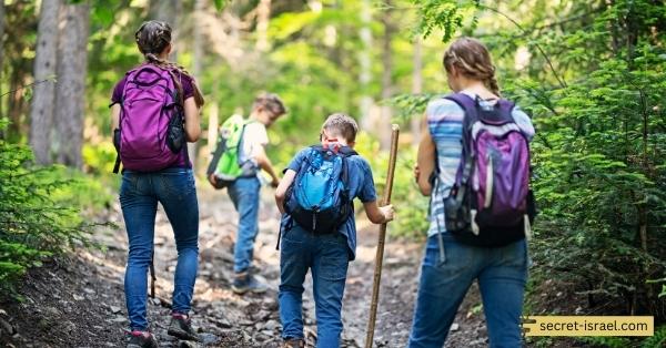 Hiking the JNF Nature Trail