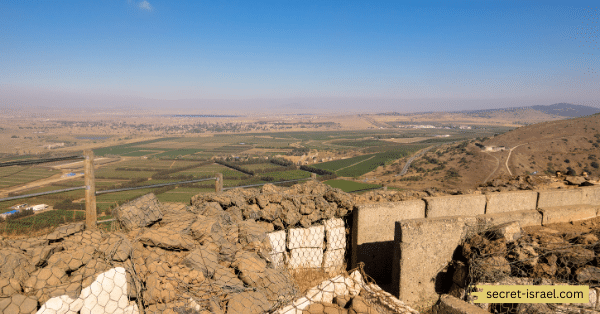 History of Conflict