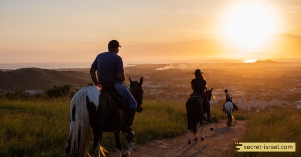 Horse Riding