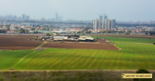 How Ariel Sharon Park Transformed from a Landfill to a Thriving Ecosystem