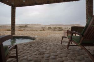 Stay in the Middle of the Desert