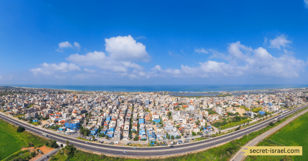 Importance of Public Transportation in Zarqa