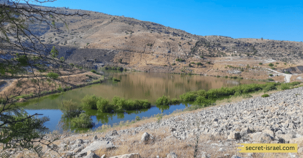 Irbid