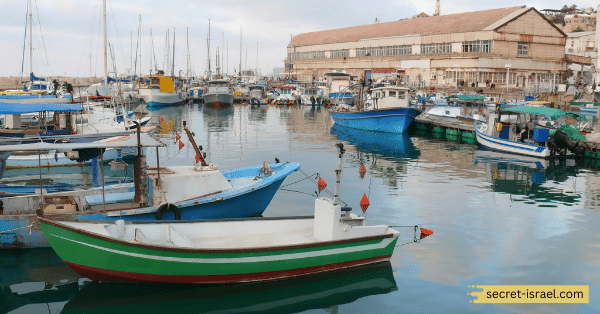 Jaffa Port