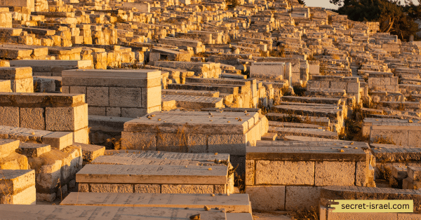 Jewish Heritage Sites