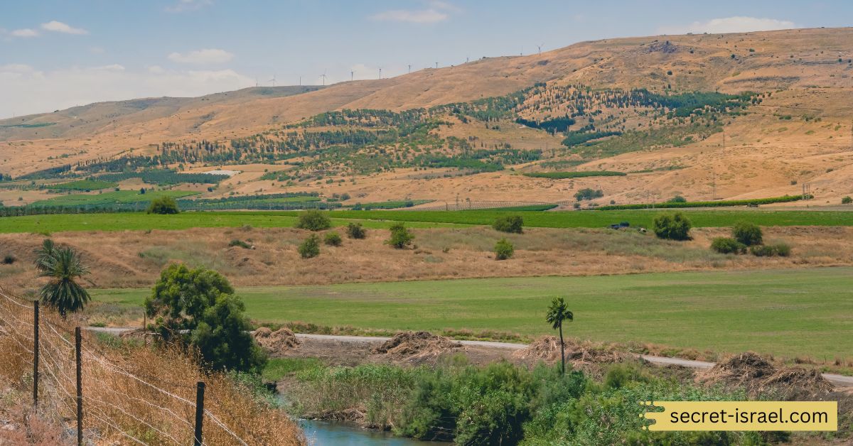 Jordan Valley Tour