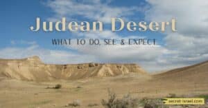 Judean Desert: What To Do, See & Expect