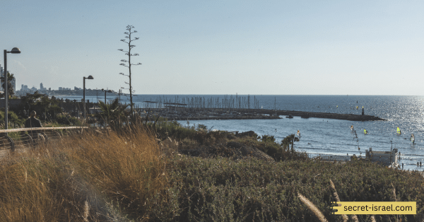 Migdalor Beach