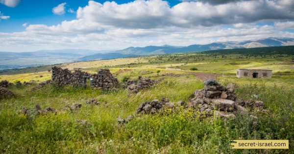 Naphtali
