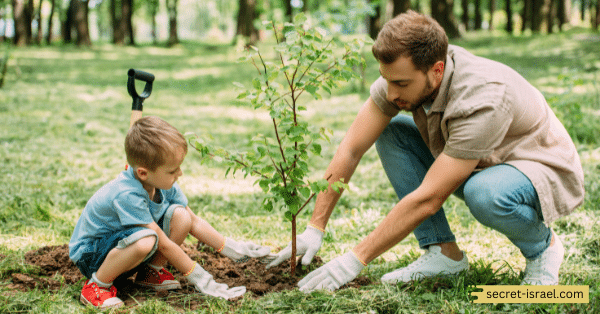 Planting