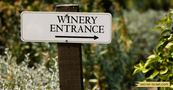 Recanati Winery